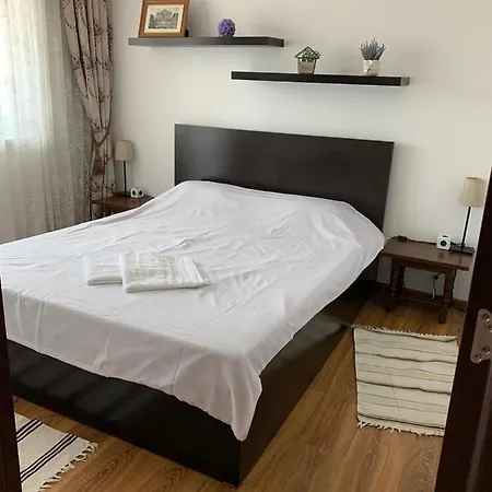 Alex Apartament *